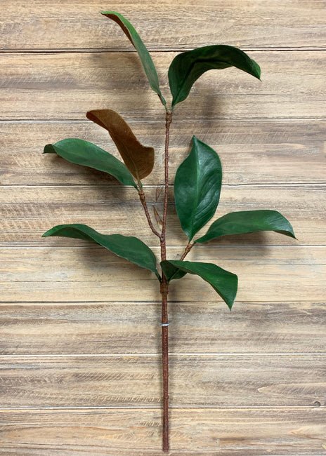 Magnolia Spray 26'' - Maison Olive - Fleurs artificielles