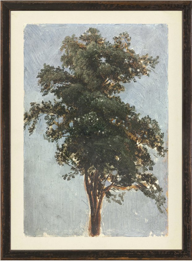 TREE STUDY, 1855 - Maison Olive - Tableaux et Cadres